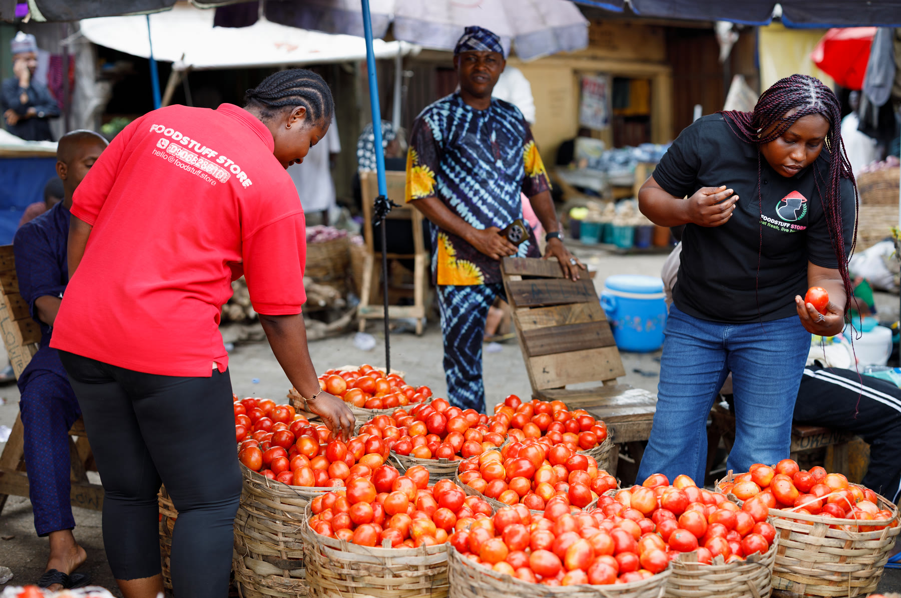 Foodstuff Store staff checking baskets of tomatoes with a trader at an open-air market